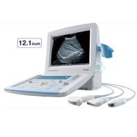 HONDA HS-2200超音波